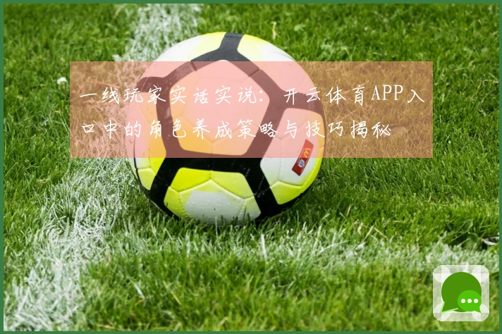 一线玩家实话实说：开云体育APP入口中的角色养成策略与技巧揭秘