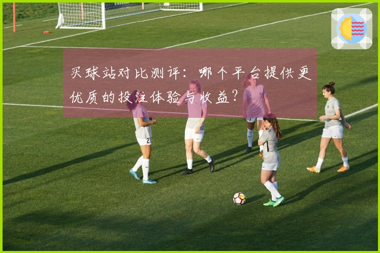 买球站对比测评：哪个平台提供更优质的投注体验与收益？