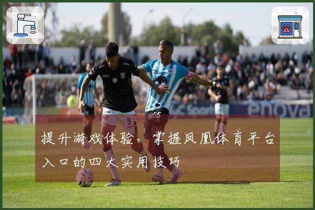 提升游戏体验，掌握凤凰体育平台入口的四大实用技巧