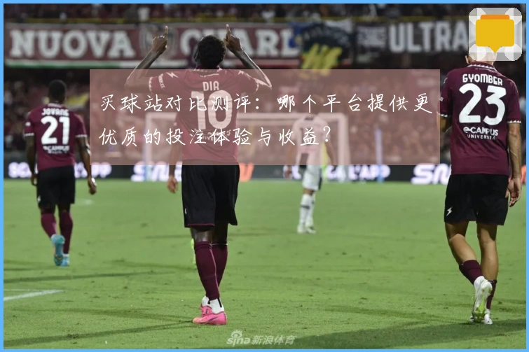 买球站对比测评：哪个平台提供更优质的投注体验与收益？